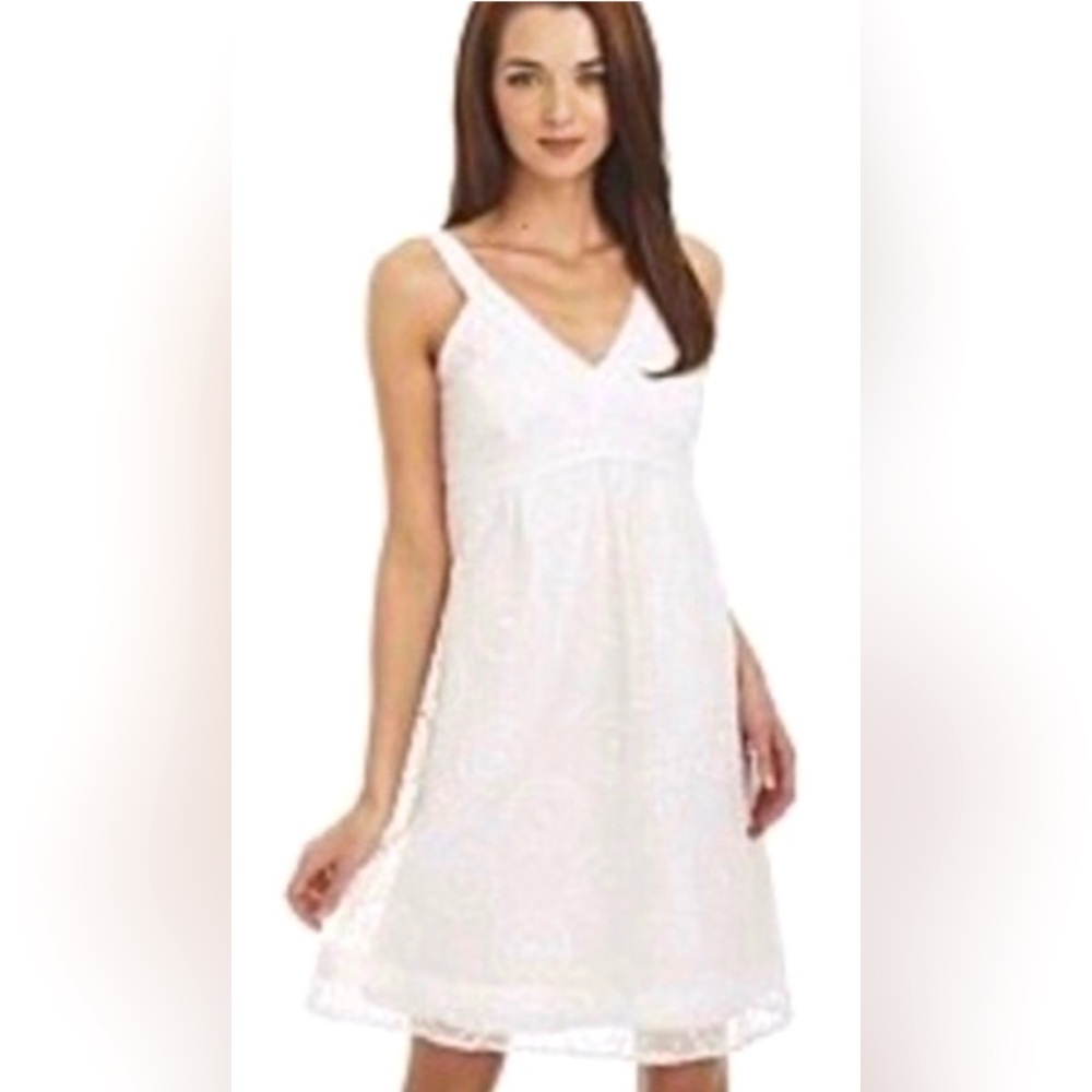 Lilly Pulitzer Amber Silk Blend Organza dress in White Cartwheels Embroidery.